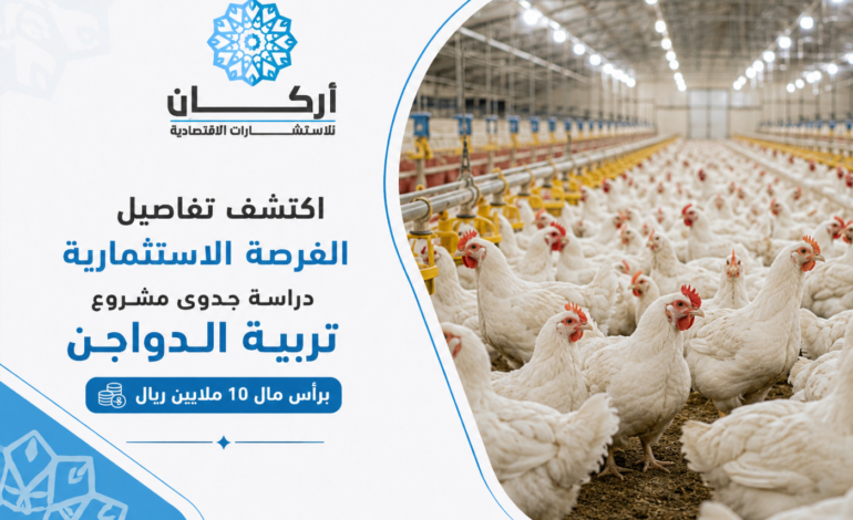 اكتشف تفاصيل الفرصة الاستثمارية دراسة جدوى مشروع تربية الدواجن